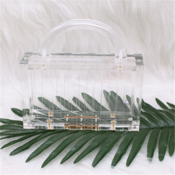 Acrylic Clutch Bag - Transparent Rectangular Purse