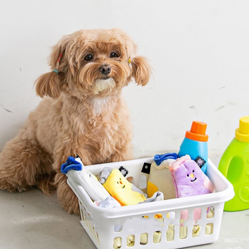 Cute Educational Toys - Pet Socks