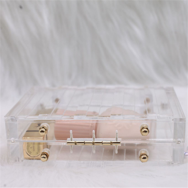 Acrylic Clutch Bag - Transparent Rectangular Purse